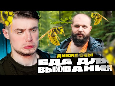 Видео: ДИКИЕ ОСЫ - ЕДА ДЛЯ ВЫЖИВАНИЯ В ПРИРОДНЫХ УСЛОВИЯХ | Выживало