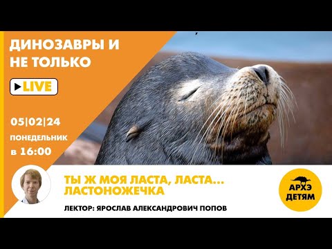 Видео: Занятие "Ты ж моя ласта, ласта…ластоножечка!" кружка "Динозавры и не только" с Ярославом Поповым