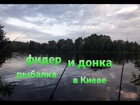 Видео: Фидерная и Донная рыбалка в Киеве зал. Верблюд.