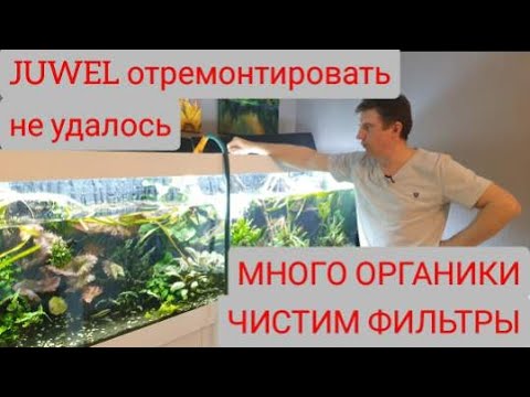 Видео: Аквариум Juwel отремонтировать не удалось. Много органики в аквариуме, чистим все фильтры.