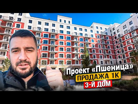 Видео: Проект "Пшеница". Продажа 1к 3-й дом