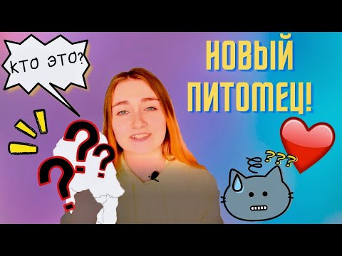 Видео: НОВЫЙ ПИТОМЕЦ! КОГО МЫ ЗАВЕЛИ?
