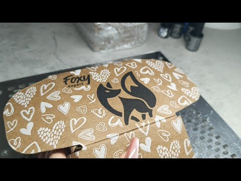 Видео: РАСПАКОВКА С WB/ ОБЗОР НА FOXY.EXPERT