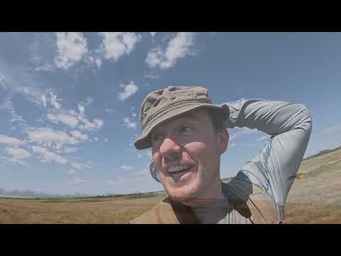 Видео: Дневник Натуралиста Василия Вишневского. Станция Чир  24  мая 2025 года.