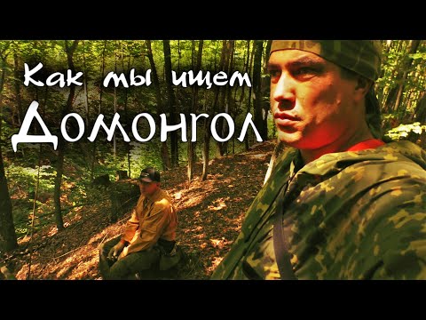 Видео: Как мы ищем домонгол. Разведка новых мест в лесу.