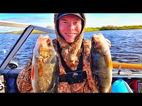 Видео: ОН ЗНАЕТ ГДЕ ЛОВИТЬ!! ОКУНИ МУТАНТЫ ПО БОЛЬШОЙ ВОДЕ!!! ЛЕТНЯЯ РЫБАЛКА!!