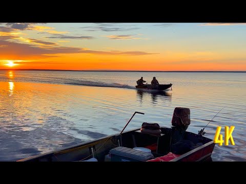 Видео: РЫБА СОШЛА С УМА В ЯМ ОЗЕРЕ, ДА! THE FISH WENT CRAZY IN THIS LAKE | 2 ЧАСТЬ