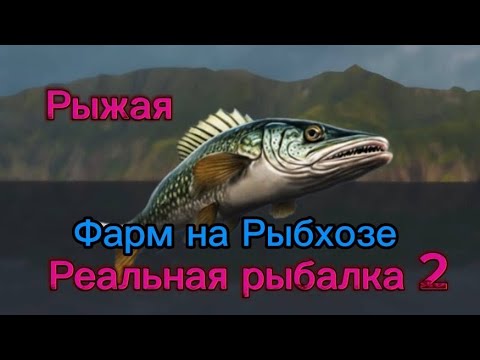 Видео: Реальная рыбалка 2. фарм на  рыбхозе.