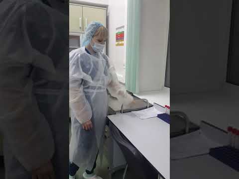 Видео: Правила Работы Медсестры В Процедурном Кабинете