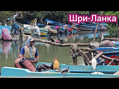 Видео: Увидели деревню рыбаков и столкнулись с мафией тук-тукеров. Хотела поесть рыбы но пришлось уехать!