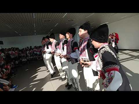 Видео: Ансамбъл Актавис - Бера, летище София 17.10.2017