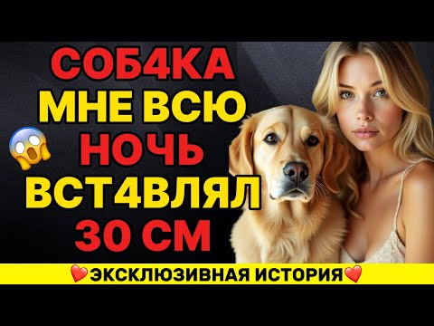 Видео: Я легла спать, а собака устроила настоящий переполох – не поверите что случилось!