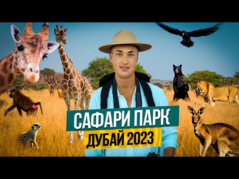 Видео: Дубай САФАРИ ПАРК | ОТДЫХ С СЕМЬЕЙ ЦЕНЫ и стоит ли ехать ? ОАЭ