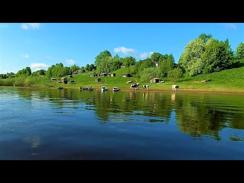Видео: ТАКОГО УЛОВА У МЕНЯ ЕЩЁ НЕ БЫЛО \ ЗАПАСАЕМСЯ ЖИВЦАМИ \ ПРОВЕРКА ПРОДОЛЬНИКОВ \ 30.05.23