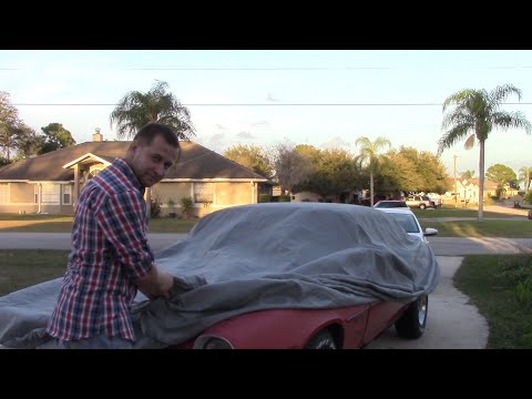 Видео: США Флорида. CAMARO