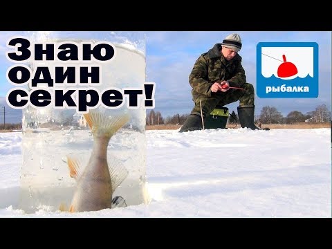 Видео: Как я провожу разведку водоёма + отчёт о рыбалке в январе