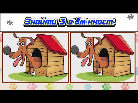 Видео: Тест на уважність. Знайти 3 відмінності. Тема: "Песики"