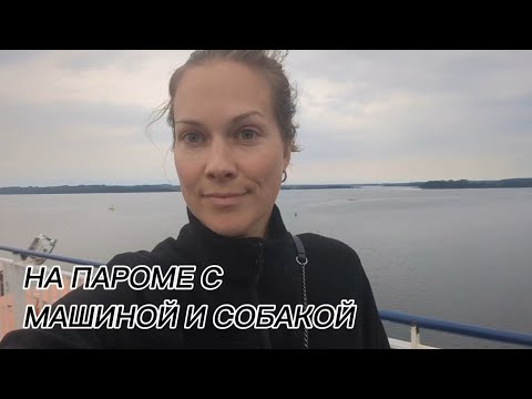 Видео: Из Германии в Латвию на пароме с машиной и собакой. Как все организовано?