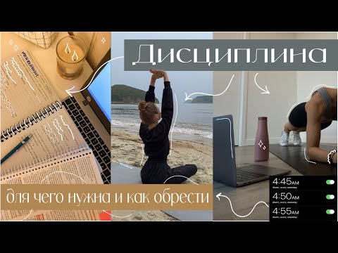 Видео: Как построить ту самую дисциплину? | советы, которые помогли мне