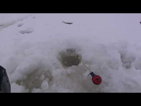 Видео: Снова Редикор