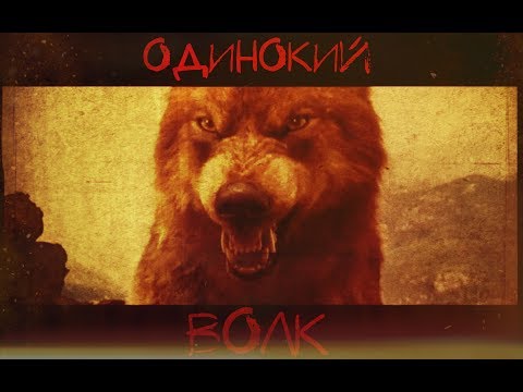 Видео: Одинокий волк