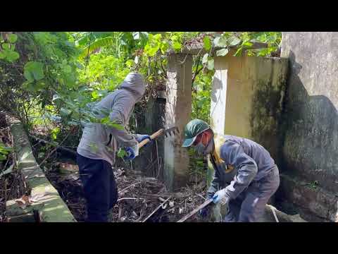 Видео: Красиво преобразим заброшенный сад — Обрезаем разросшиеся растения в саду