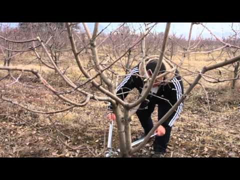 Видео: Кюстендил