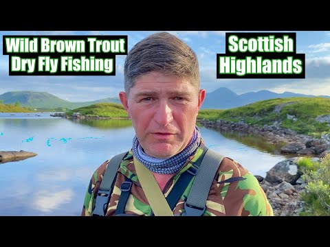 Видео: Ловля дикой форели на сухую мушку — в стоячей воде — нахлыст на озере [рыбалка для начинающих]