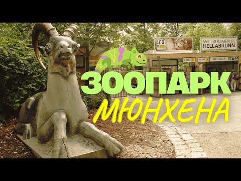 Видео: Зоопарк в Мюнхене