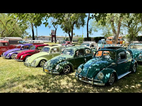 Видео: Bug Bash 2024 — в этом году к нам пришло более 100 автомобилей.