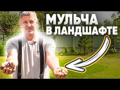 Видео: МУЛЬЧА в ландшафте. Виды мульчирования.