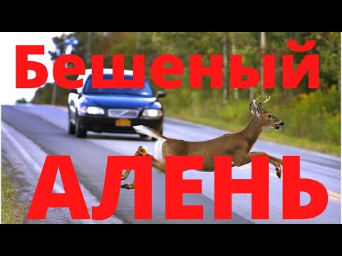 Видео: Алени станут очень опасны Будьте осторожны