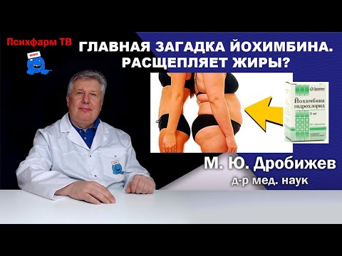 Видео: Главная загадка Йохимбина. Расщепляет жиры?