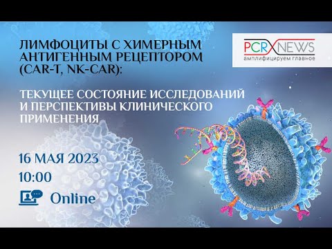 Видео: Лимфоциты с химерным антигенным рецептором (CAR-T, NK-CAR)