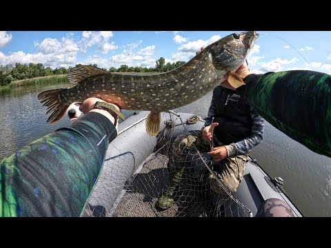 Видео: Літня риболовля щуки ! Salmo slider 7f❤️‍🔥