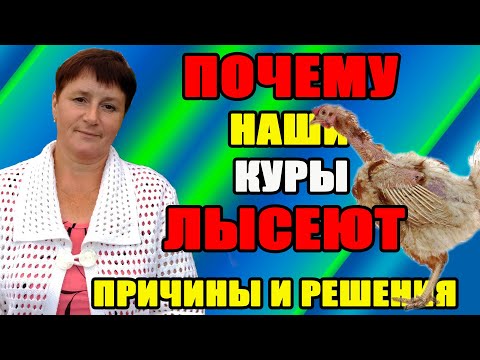 Видео: Почему наши куры ЛЫСЕЮТ. Причины и мои решения.