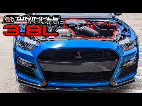Видео: 2020 GT500 WHIPPLE 3.8L ПЕРВЫЙ ВЗГЛЯД | РЕЗУЛЬТАТЫ УСТАНОВКИ, ДИНОСТРОИТЕЛЬНОГО СТЕНДЕРА И ТРЕНИР...