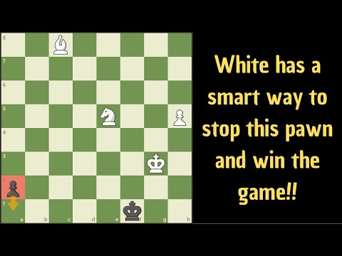 Видео: Как же нам остановить пешку на а2?