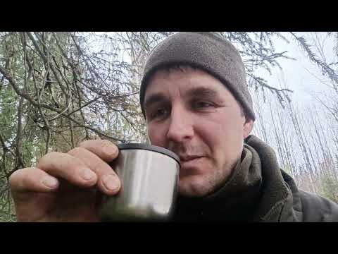 Видео: проверка капканов, ноябрьские ливни, лесная находка