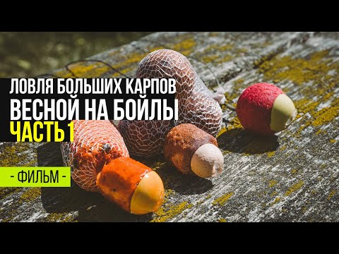 Видео: Ловля больших карпов весной на бойлы. Более 50 рыб за рыбалку!