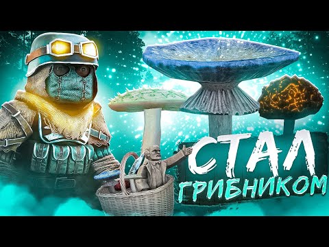 Видео: МИНИ ИВЕНТ В СТАЛКРАФТ Х | STALCRAFT X
