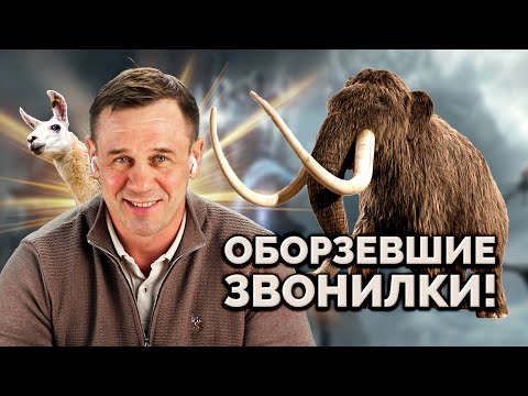 Видео: ШОК! ОБЩЕНИЕ БЕЗ СКРИПТА КОЛЛЕКТОРЫ ЭВОЛЮЦИОНИРУЮТ!| БАНКРОТСТВО | Кузнецов | Аллиам