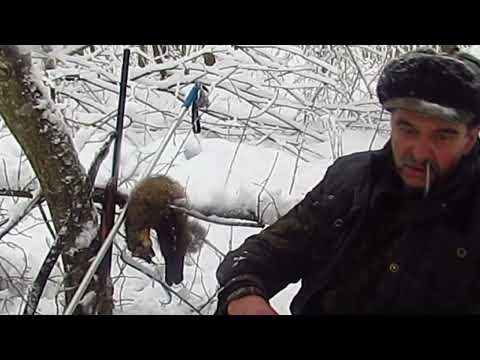 Видео: Кунак-Зайчатник  .!Серия №2  !!