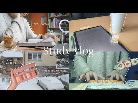 Видео: [Study vlog] пытаюсь получить нормальные оценки к концу семестра, дни студентки лицея в Польше