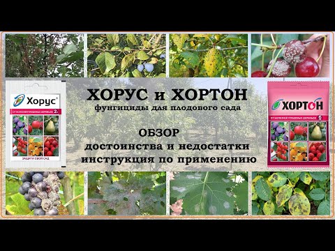 Видео: Хорус и Хортон. Обзор фунгицидов