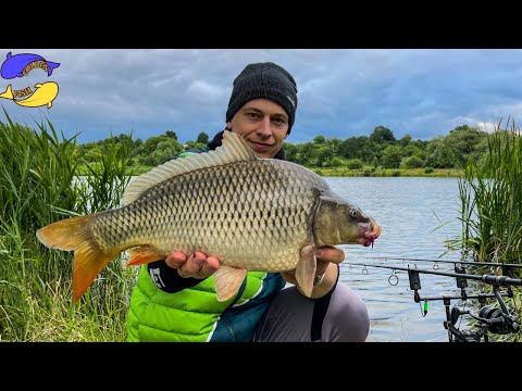 Видео: КОРОПИ ДУРІЮТЬ ВІД ЦЬОГО ПРИКОРМУ! ЛОВЛЯ КОРОПА В ЧЕРВНІ!!