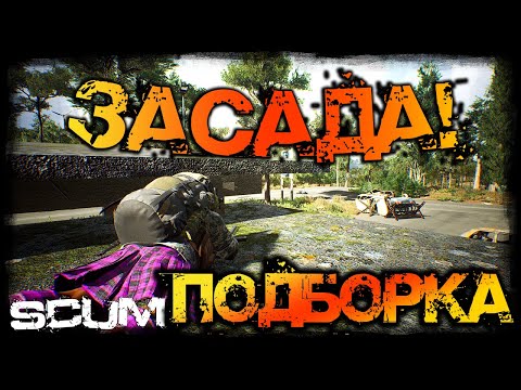 Видео: SCUM | ПОДБОРКА МОМЕНТОВ #6 - ЗАСАДЫ МАСТЕРА!