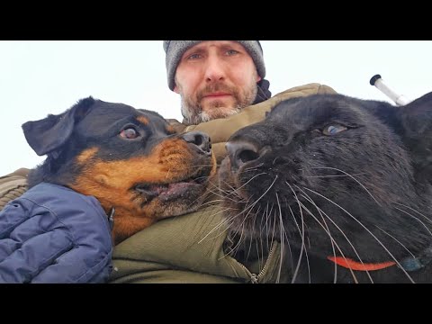 Видео: Как мы проводим время с Луной и Вензой