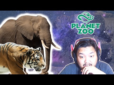 Видео: Planet Zoo - Диваажин Руу Явах Шат