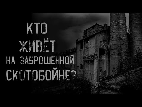 Видео: страшные истории - КТО ЖИВЁТ НА ЗАБРОШЕННОЙ СКОТОБОЙНЕ | ужасы | мистика